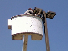 Changing Parking Lot Light Bulbs